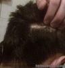 Click image for larger version.&nbsp;

Name:	scar.jpg&nbsp;
Views:	20495&nbsp;
Size:	47.2 KB&nbsp;
ID:	9